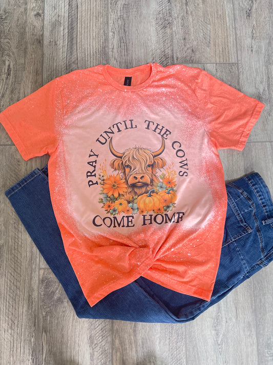 Pray Until the Cows Come Home- Highland Cow Bleached Tee